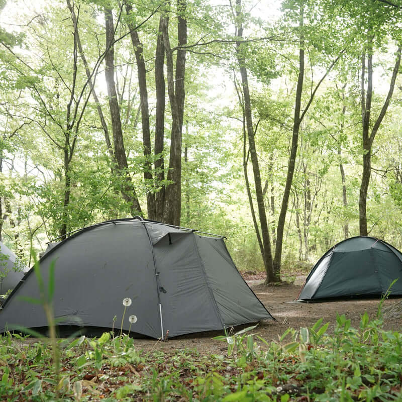 Two TFS Stars 4 tents in Holy Green pitched side by side in a leafy forest.