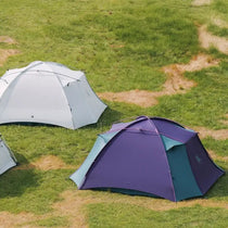TFS Stars 4 tent in Royal Purple pitched next to a Dawn White model on a grassy campsite.